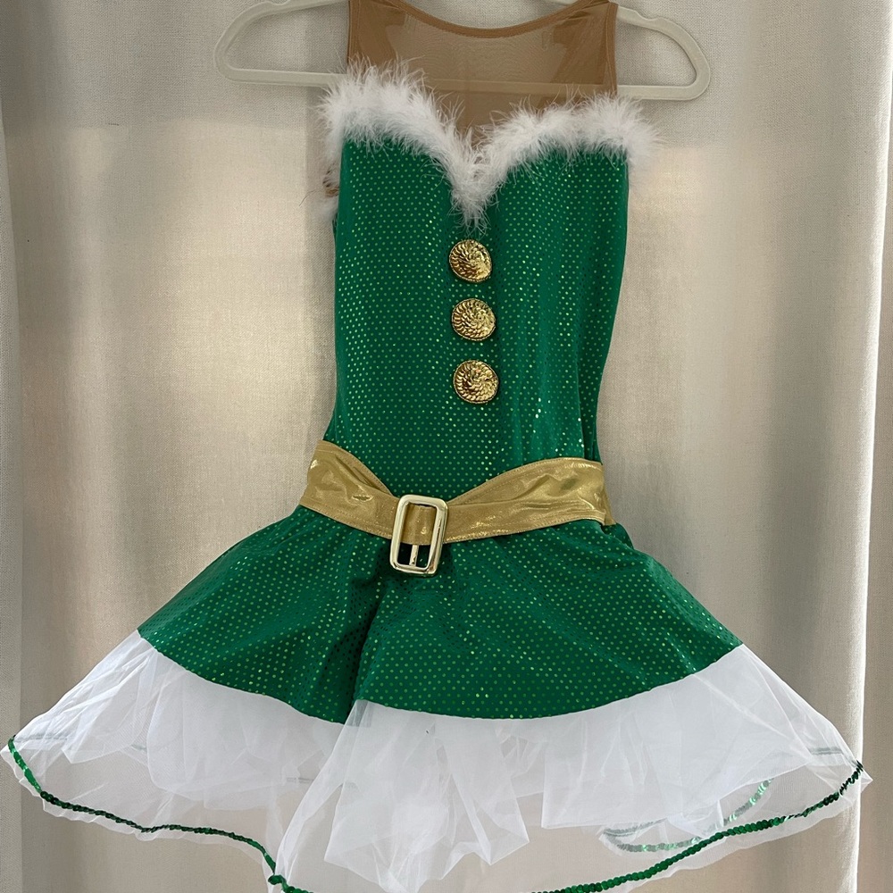 COPY - Adult medium holiday dance costume.